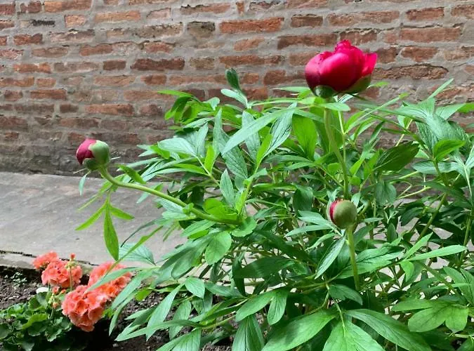 Al Fluviale Bed & Breakfast