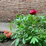 Al Fluviale Panzió