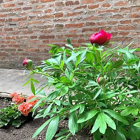 Al Fluviale Panzió *