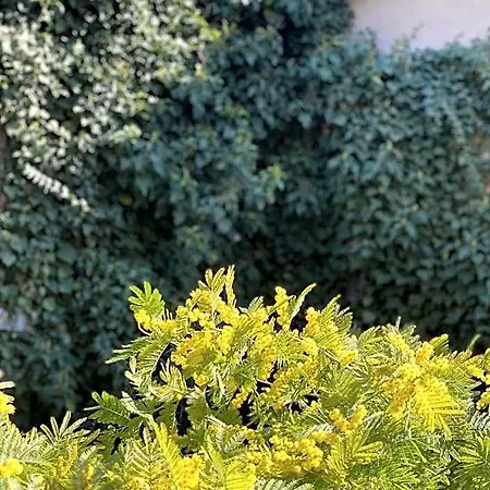 Al Fluviale Panzió
